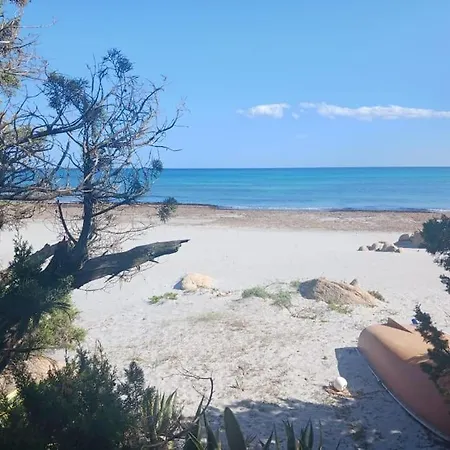 Affittasardegna-quadri Sa Prama * Cala Liberotto